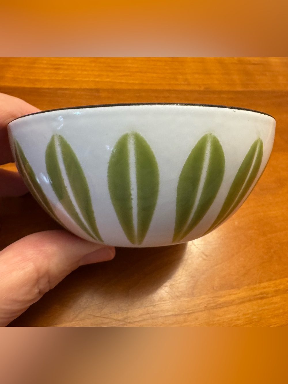 Mid-Century Modern Catherinholm Lotus Enamelware Bowl from Norway.